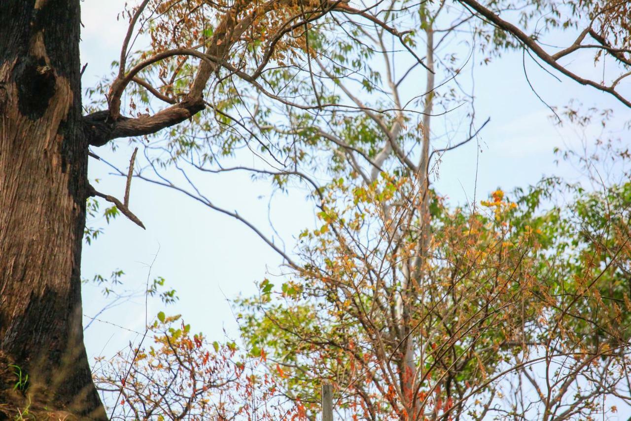 Madushanka Resort Ella Ngoại thất bức ảnh